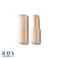 کرم پودر استیکی شیگلم مدل اسکین مگنت رنگ Nude
