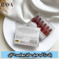 پک رژ لب مینی سایز بیولیس 6 تایی رنگ 225